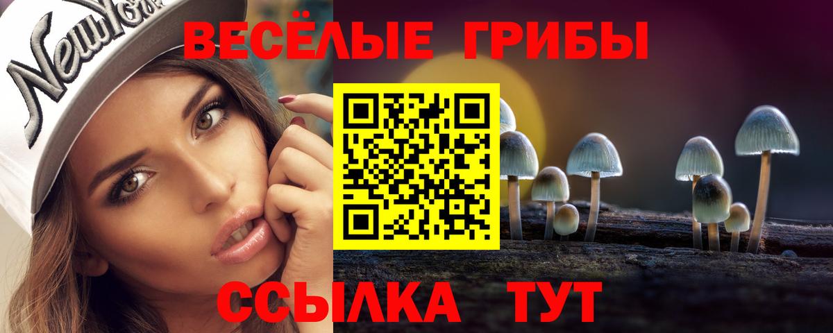 Галлюциногенные грибы GOLDEN TEACHER  Псилоцибиновые грибы Psilocybe  Вход с VPN  Торжок 